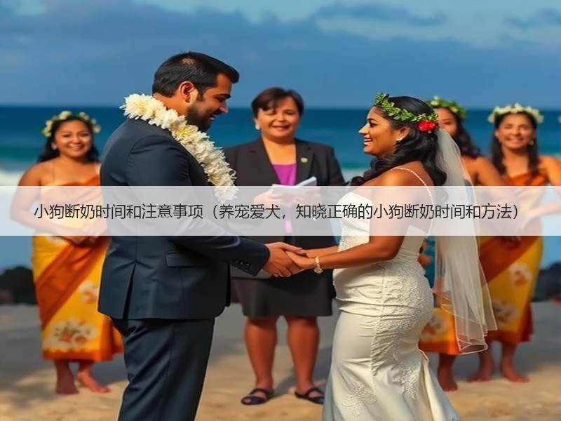 小狗断奶时间和注意事项（养宠爱犬，知晓正确的小狗断奶时间和方法）