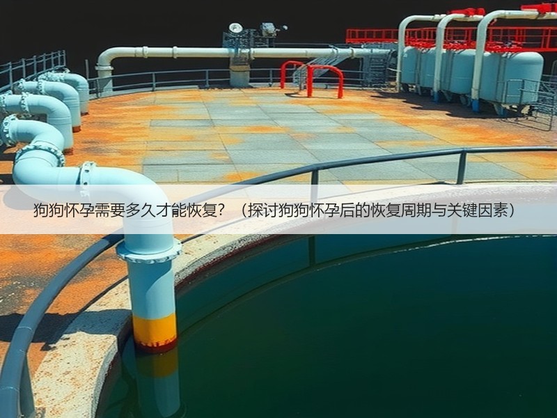 狗狗怀孕需要多久才能恢复？（探讨狗狗怀孕后的恢复周期与关键因素）