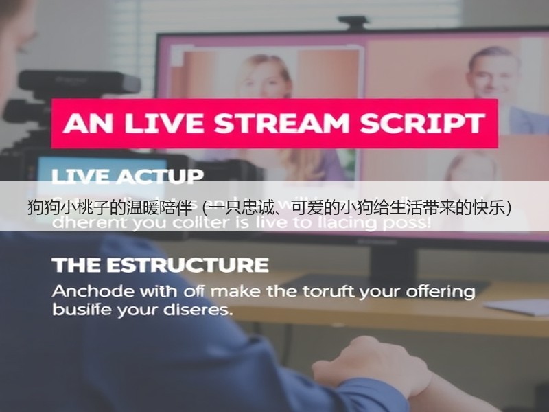狗狗小桃子的温暖陪伴（一只忠诚、可爱的小狗给生活带来的快乐）