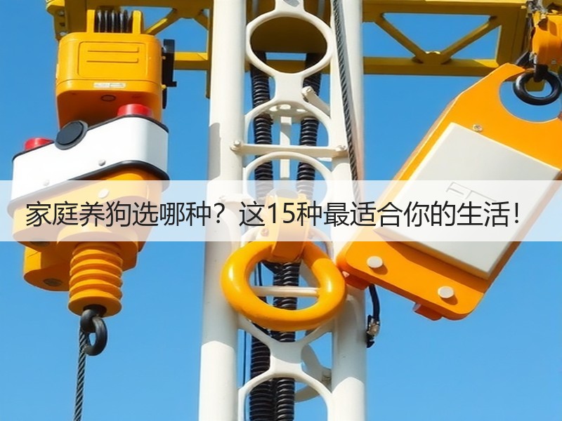 家庭养狗选哪种？这15种最适合你的生活！