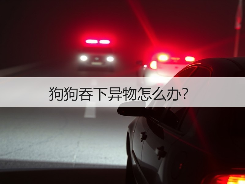 狗狗吞下异物怎么办？