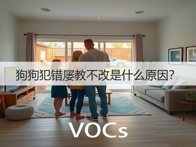 狗狗犯错屡教不改是什么原因？