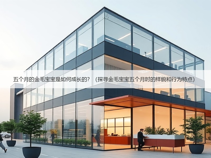 五个月的金毛宝宝是如何成长的？（探寻金毛宝宝五个月时的样貌和行为特点）