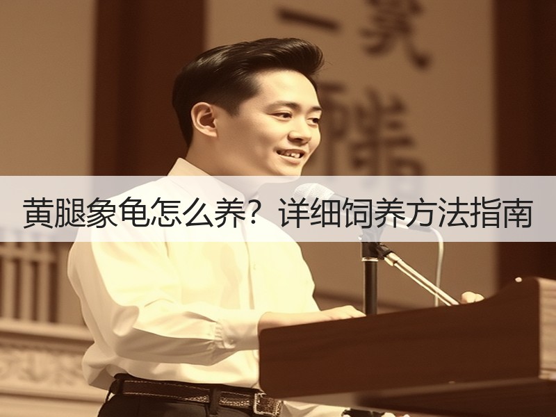 黄腿象龟怎么养？详细饲养方法指南