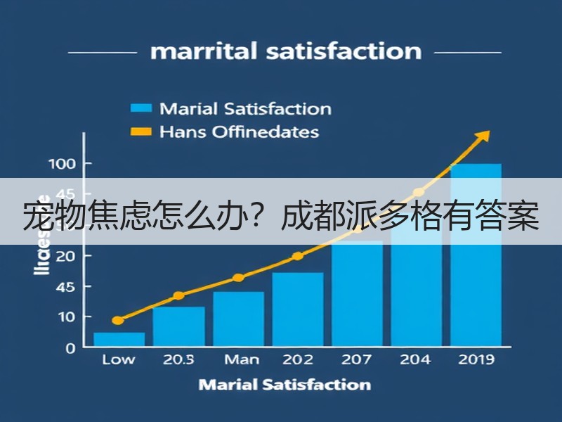 宠物焦虑怎么办？成都派多格有答案