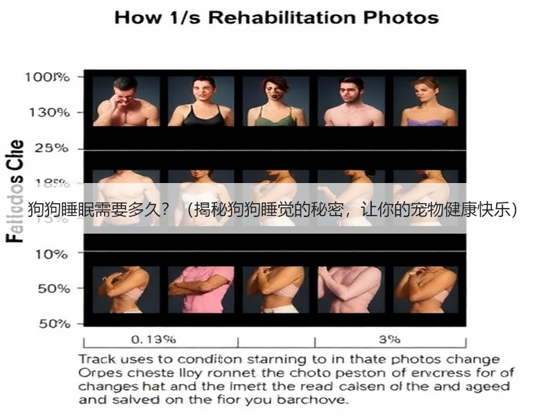 狗狗睡眠需要多久？（揭秘狗狗睡觉的秘密，让你的宠物健康快乐）