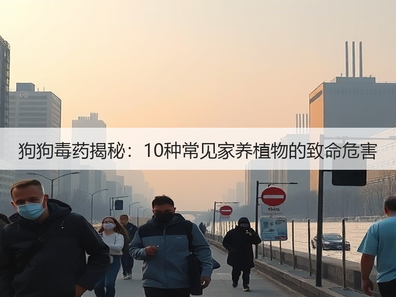 狗狗毒药揭秘：10种常见家养植物的致命危害