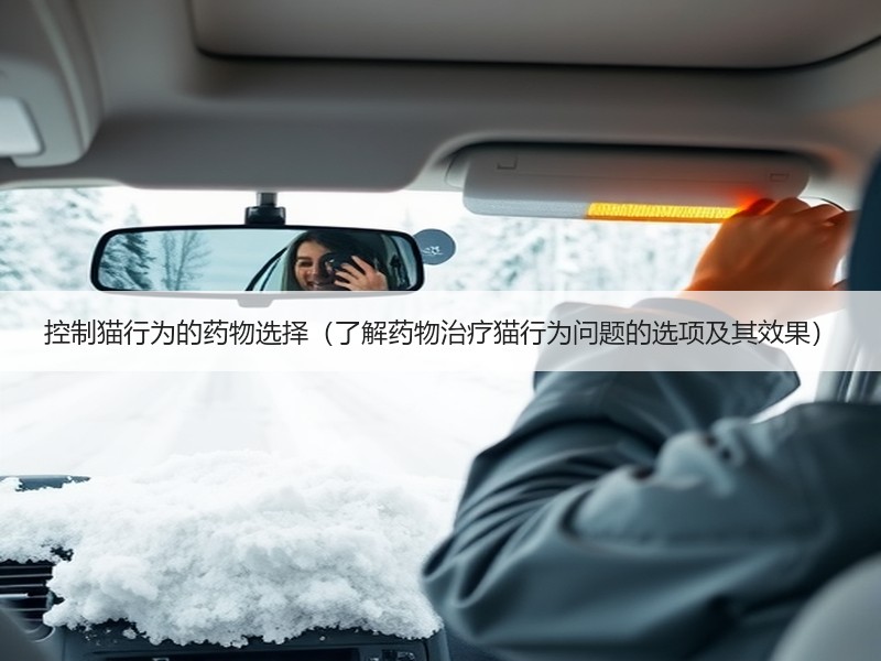 控制猫行为的药物选择（了解药物治疗猫行为问题的选项及其效果）
