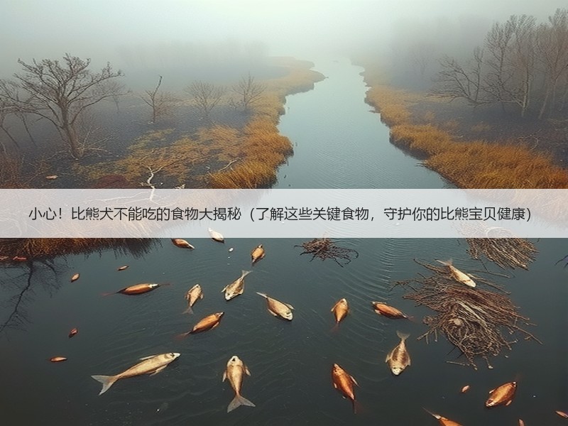 小心！比熊犬不能吃的食物大揭秘（了解这些关键食物，守护你的比熊宝贝健康）