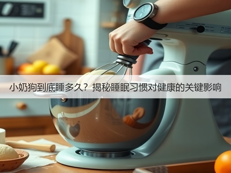 小奶狗到底睡多久？揭秘睡眠习惯对健康的关键影响