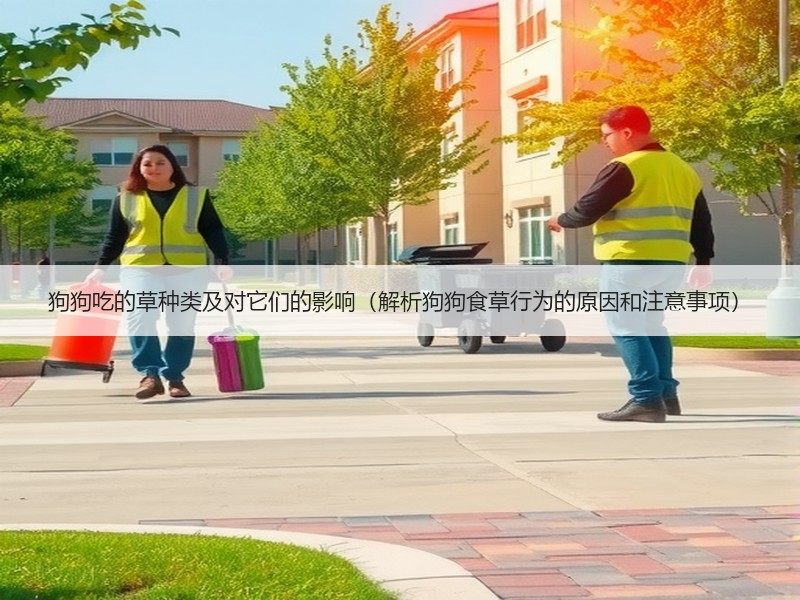 狗狗吃的草种类及对它们的影响（解析狗狗食草行为的原因和注意事项）