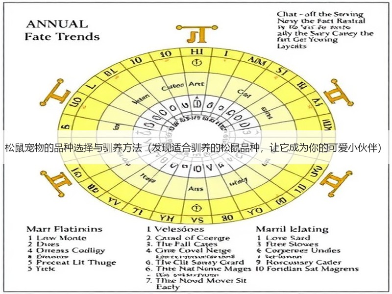松鼠宠物的品种选择与驯养方法（发现适合驯养的松鼠品种，让它成为你的可爱小伙伴）