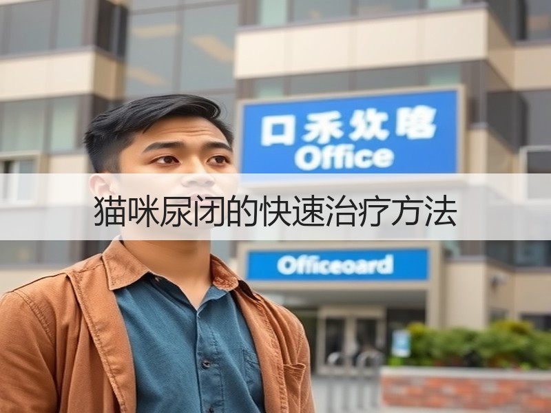 猫咪尿闭的快速治疗方法