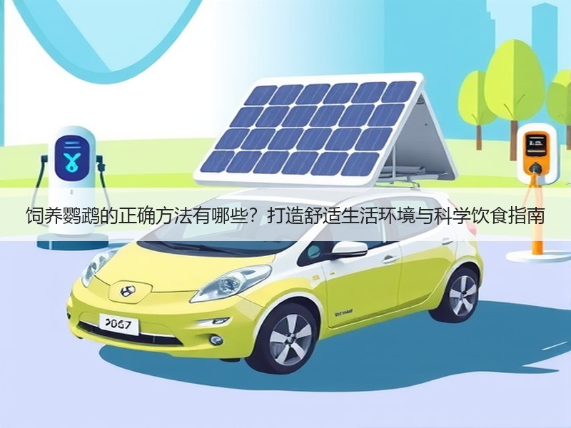 饲养鹦鹉的正确方法有哪些？打造舒适生活环境与科学饮食指南