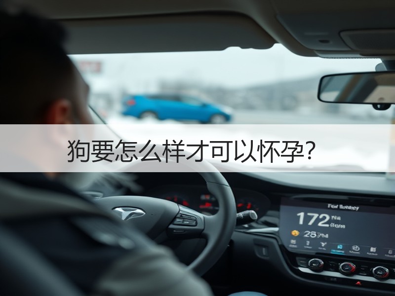 狗要怎么样才可以怀孕？