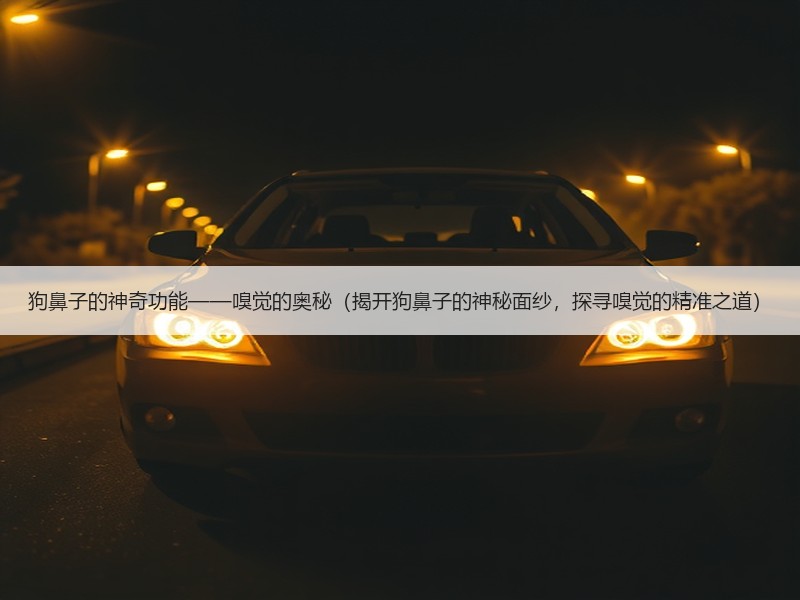 狗鼻子的神奇功能——嗅觉的奥秘（揭开狗鼻子的神秘面纱，探寻嗅觉的精准之道）