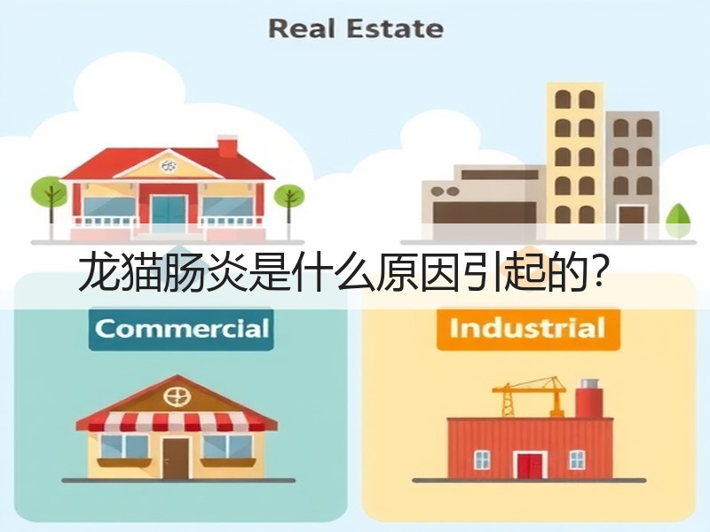 龙猫肠炎是什么原因引起的？
