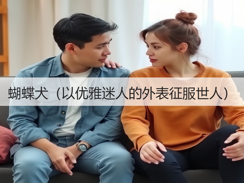 蝴蝶犬（以优雅迷人的外表征服世人）
