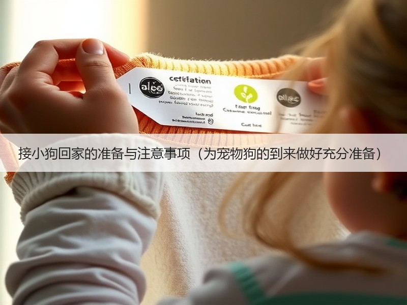 接小狗回家的准备与注意事项（为宠物狗的到来做好充分准备）