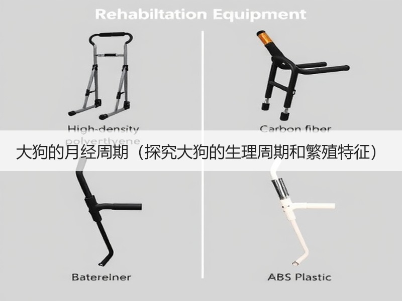 大狗的月经周期（探究大狗的生理周期和繁殖特征）