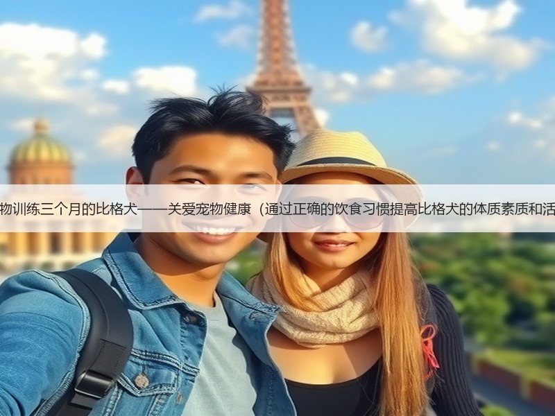 用食物训练三个月的比格犬——关爱宠物健康（通过正确的饮食习惯提高比格犬的体质素质和活力）