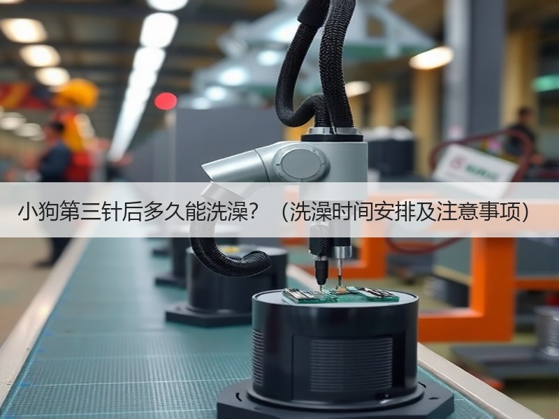 小狗第三针后多久能洗澡？（洗澡时间安排及注意事项）