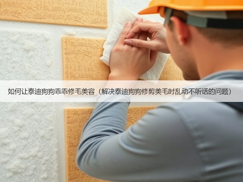 如何让泰迪狗狗乖乖修毛美容（解决泰迪狗狗修剪美毛时乱动不听话的问题）