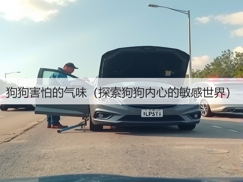 狗狗害怕的气味（探索狗狗内心的敏感世界）