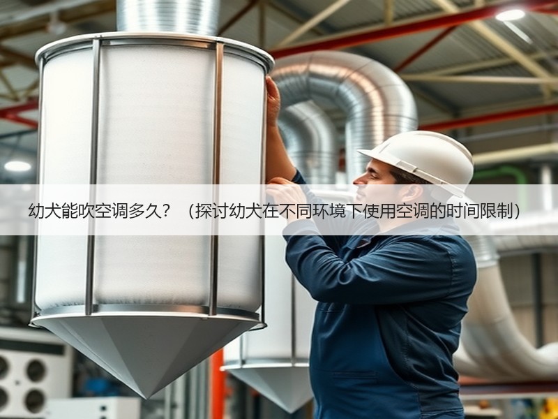 幼犬能吹空调多久？（探讨幼犬在不同环境下使用空调的时间限制）