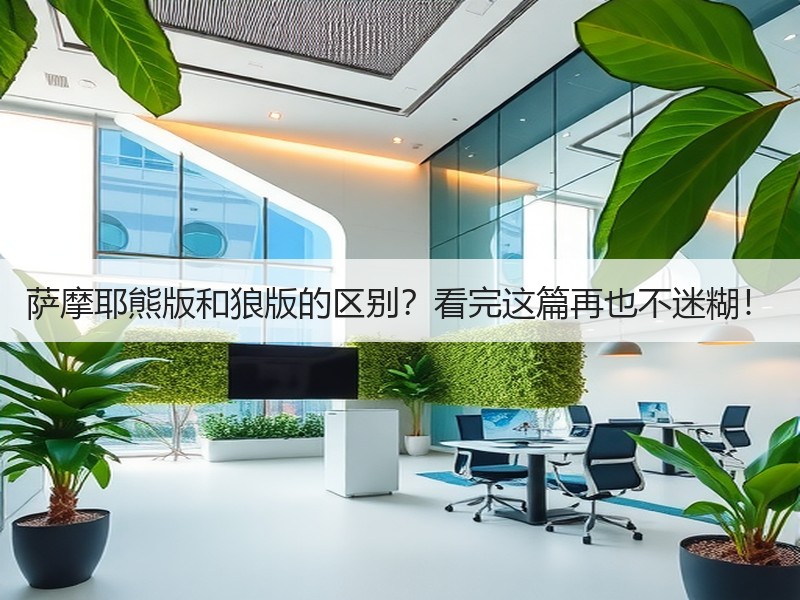 萨摩耶熊版和狼版的区别？看完这篇再也不迷糊！