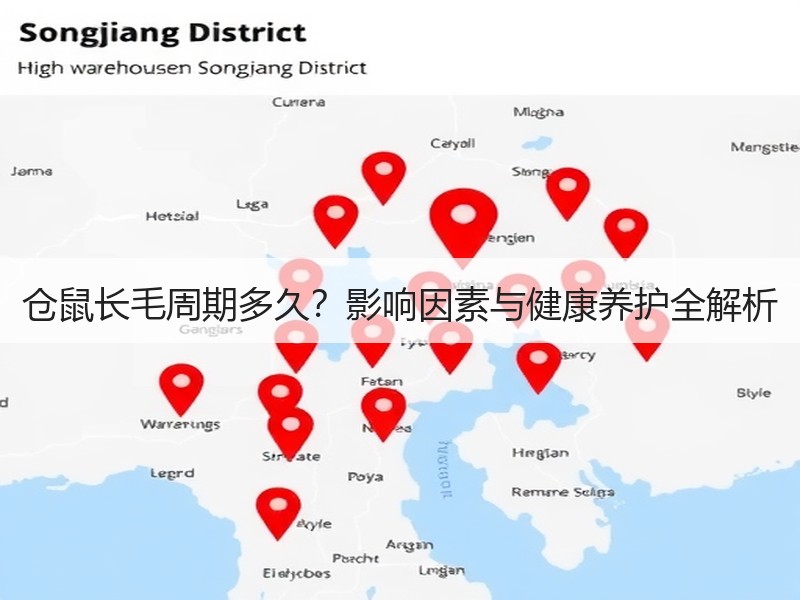 仓鼠长毛周期多久？影响因素与健康养护全解析