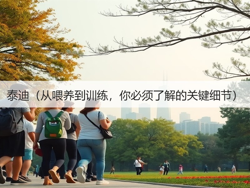 泰迪（从喂养到训练，你必须了解的关键细节）
