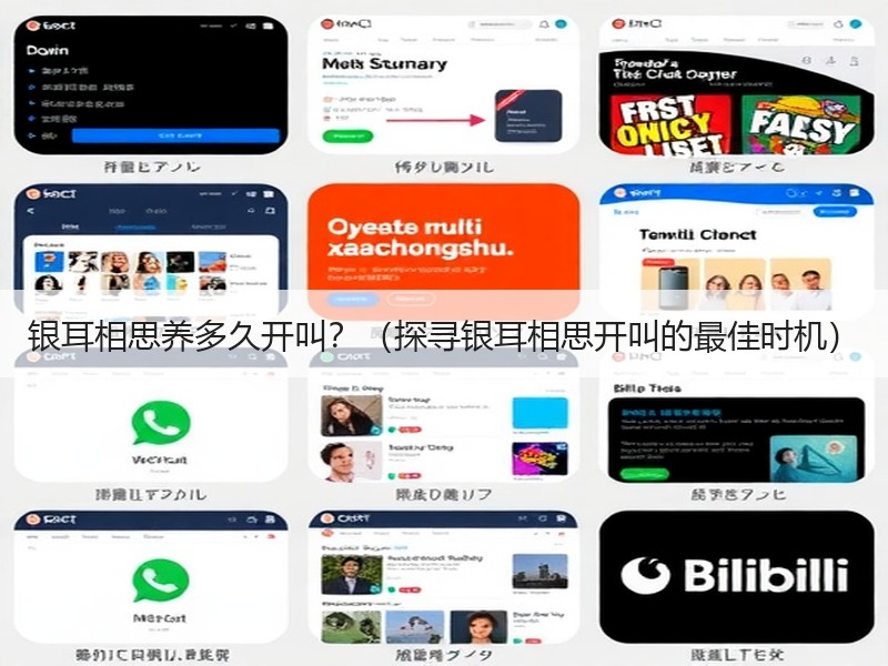 银耳相思养多久开叫？（探寻银耳相思开叫的最佳时机）
