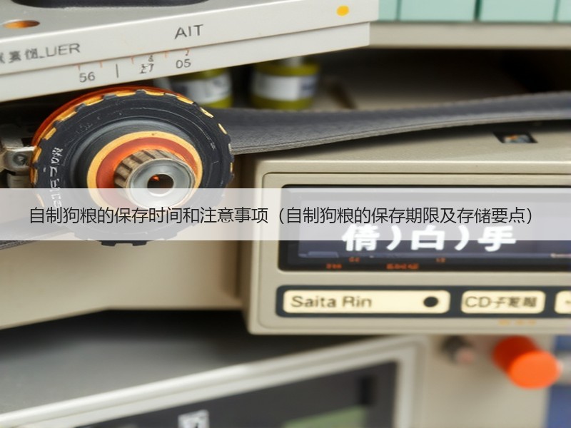 自制狗粮的保存时间和注意事项（自制狗粮的保存期限及存储要点）