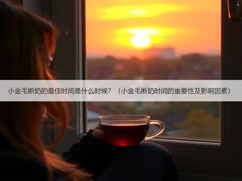小金毛断奶的最佳时间是什么时候？（小金毛断奶时间的重要性及影响因素）