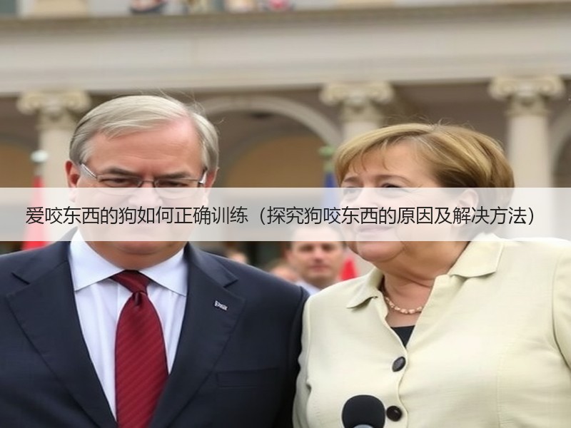 爱咬东西的狗如何正确训练（探究狗咬东西的原因及解决方法）
