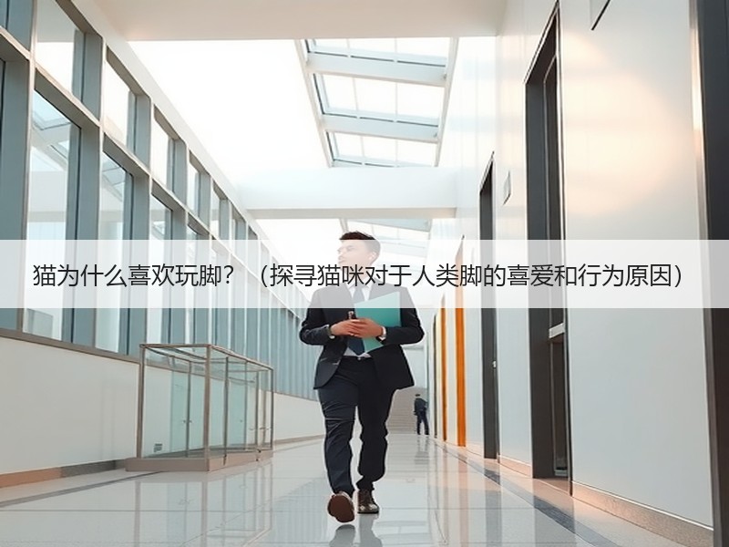 猫为什么喜欢玩脚？（探寻猫咪对于人类脚的喜爱和行为原因）