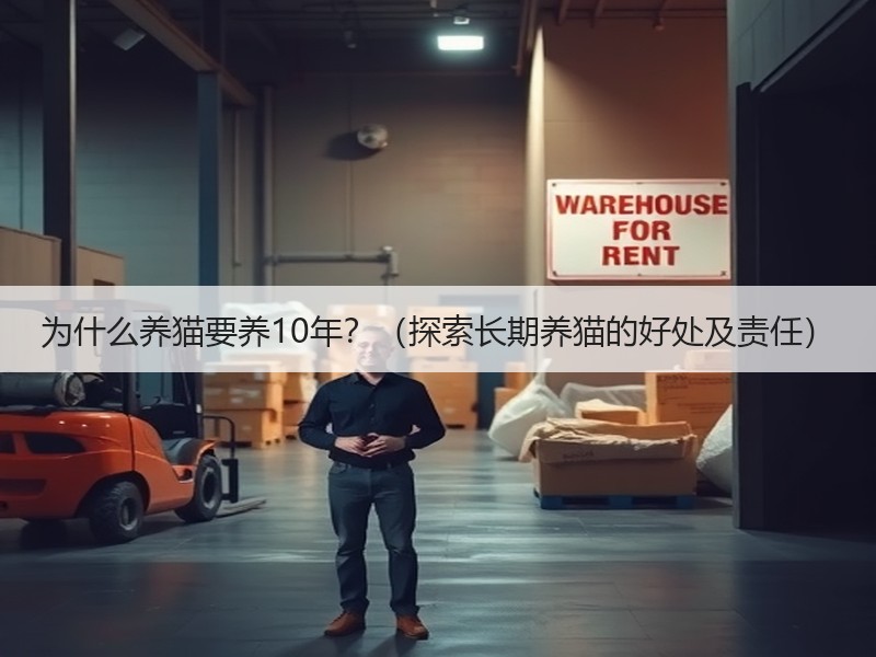 为什么养猫要养10年？（探索长期养猫的好处及责任）