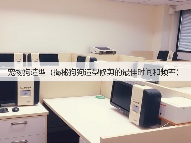 宠物狗造型（揭秘狗狗造型修剪的最佳时间和频率）
