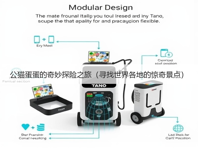 公猫蛋蛋的奇妙探险之旅（寻找世界各地的惊奇景点）