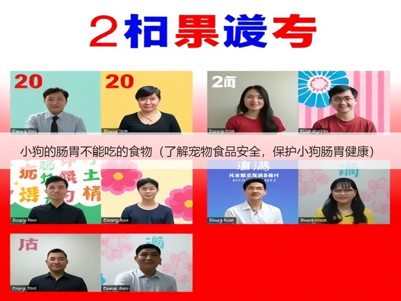 小狗的肠胃不能吃的食物（了解宠物食品安全，保护小狗肠胃健康）