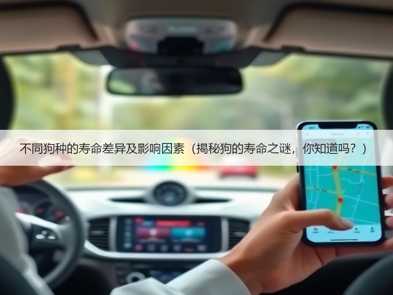 不同狗种的寿命差异及影响因素（揭秘狗的寿命之谜，你知道吗？）