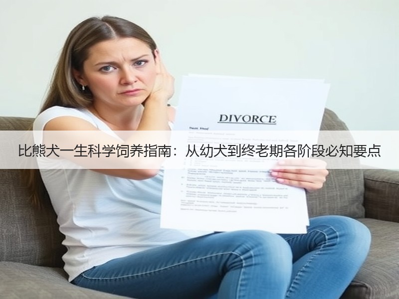 比熊犬一生科学饲养指南：从幼犬到终老期各阶段必知要点