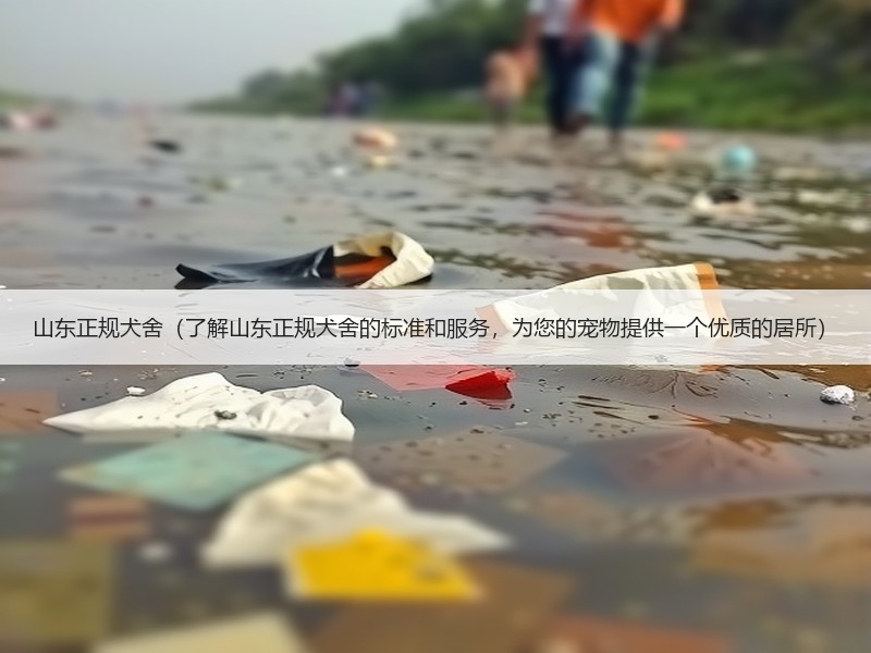 山东正规犬舍（了解山东正规犬舍的标准和服务，为您的宠物提供一个优质的居所）