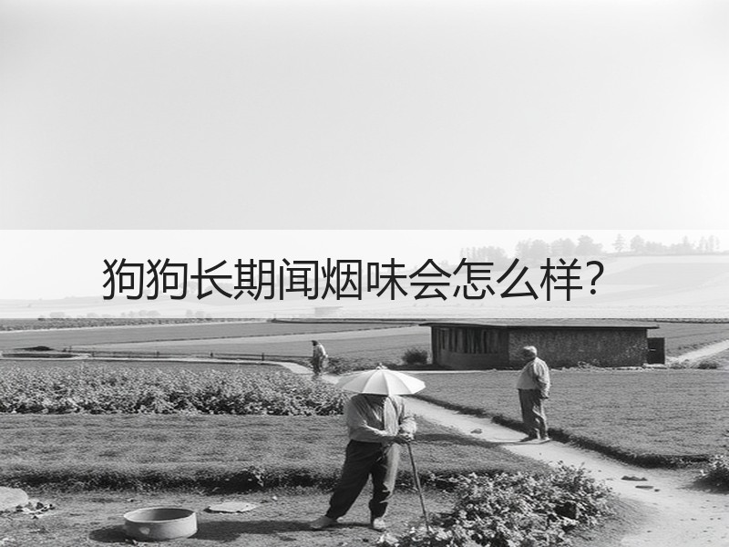 狗狗长期闻烟味会怎么样？