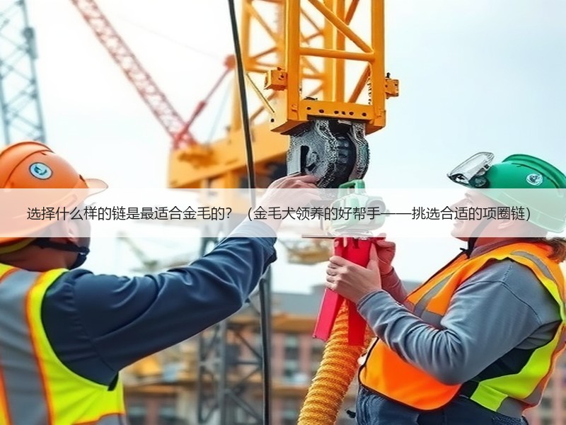 选择什么样的链是最适合金毛的？（金毛犬领养的好帮手——挑选合适的项圈链）