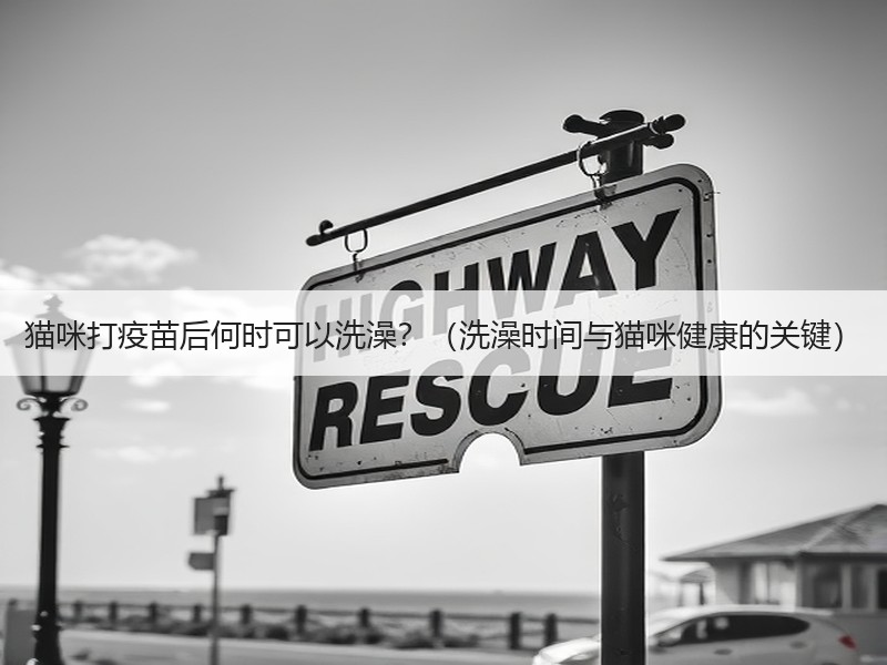 猫咪打疫苗后何时可以洗澡？（洗澡时间与猫咪健康的关键）