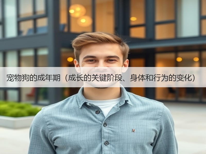 宠物狗的成年期（成长的关键阶段、身体和行为的变化）