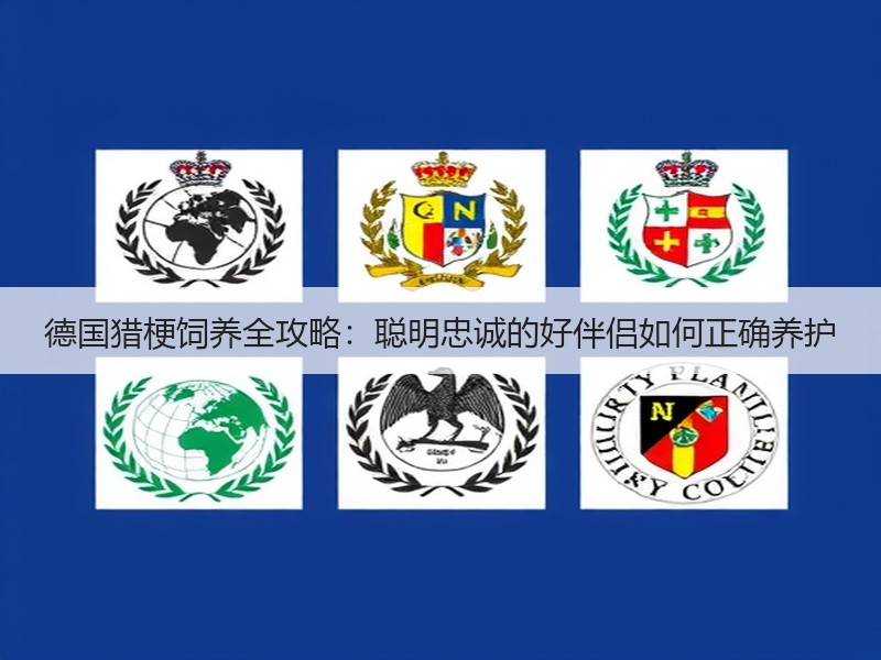 德国猎梗饲养全攻略：聪明忠诚的好伴侣如何正确养护