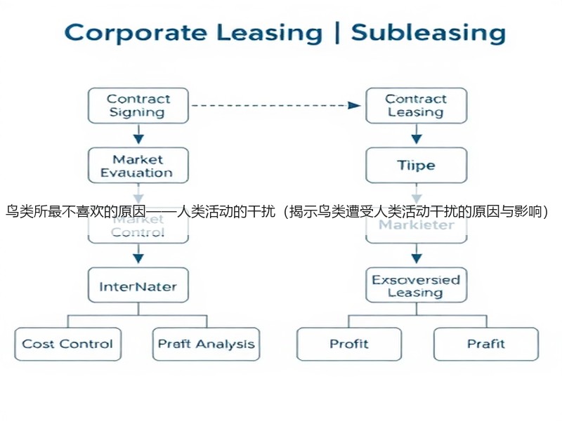 鸟类所最不喜欢的原因——人类活动的干扰（揭示鸟类遭受人类活动干扰的原因与影响）